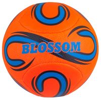 Мяч волейбольный "BLOSSOM" (арт. 1183/1184)