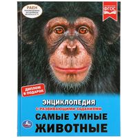 Фгос энциклопедия с развивающими заданиями автомобили. Смотреть фото Фгос энциклопедия с развивающими заданиями автомобили. Смотреть картинку Фгос энциклопедия с развивающими заданиями автомобили. Картинка про Фгос энциклопедия с развивающими заданиями автомобили. Фото Фгос энциклопедия с развивающими заданиями автомобили