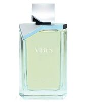 Туалетная вода для мужчин "Vibes" (100 мл)