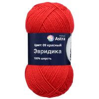 Пряжа "Эвридика №09" (100 г; 200 м; красный)