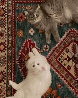 Картина по номерам "Персидские сокровища" (400х500 мм)