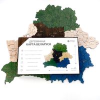 Пазл деревянный "Карта Республики Беларусь" (117 элементов)