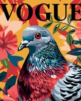 Картина по номерам "Голубь с обложки" (400х500 мм)