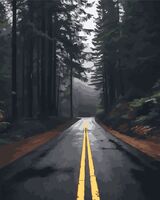 Картина по номерам "Сумеречная дорога" (400х500 мм)