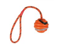 Игрушка для собак "Мячик на веревке" (6х30 см)