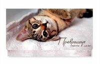 Конверт для денег "Превращай мечты в цели"