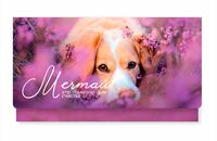 Конверт для денег "Мечтай"