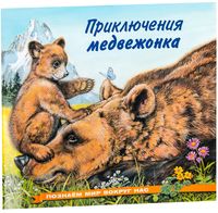 Приключения медвежонка