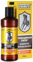 Шампунь для волос "Против перхоти" (250 мл)