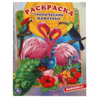 Раскраска. Тропические животные