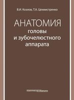Анатомия головы и зубочелюстного аппарата