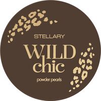 Пудра для лица в шариках "Wild Chic" тон: 01, разноцветный сияющий