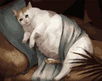 Картина по номерам "Грустный котик" (400х500 мм)