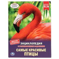 Фгос энциклопедия с развивающими заданиями автомобили. Смотреть фото Фгос энциклопедия с развивающими заданиями автомобили. Смотреть картинку Фгос энциклопедия с развивающими заданиями автомобили. Картинка про Фгос энциклопедия с развивающими заданиями автомобили. Фото Фгос энциклопедия с развивающими заданиями автомобили