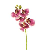 Цветок искусственный "Орхидея бордовая" (700 мм)