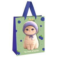 Пакет бумажный подарочный "Berry cat" (23х18х10 см)