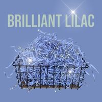 Стружка бумажная "Brilliant Lilac" (лиловый+серебро; 100 г)