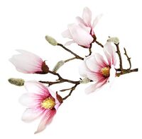 Цветок искусственный "Магнолия" (900 мм; нежно розовый)