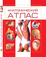 Анатомический атлас. Основы строения и физиологии человека