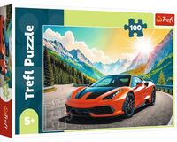 Пазл "Гоночный автомобиль" (100 элементов)