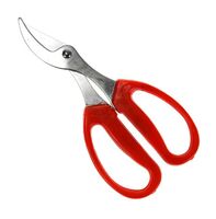 Секатор для цветов (16,5 см)