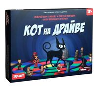 Кот на драйве