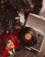 Картина по номерам "Пластинка Синатры" (400х500 мм)