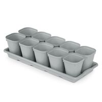 Набор для рассады (10 стаканов на поддоне)