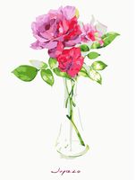 Картина по номерам "Розы Грандифлора" (300х400 мм)
