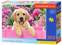 Пазл "Щенок в ящике" (300 элементов)