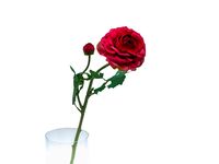 Цветок искусственный "Red" (600 мм)
