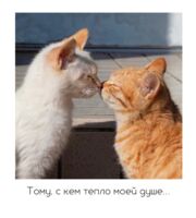 Открытка "Тому, с кем тепло моей душе"