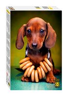 Пазл "Щенок таксы" (500 элементов)