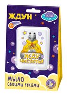 Набор для изготовления мыла "Жду чистоты!"