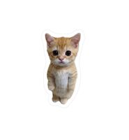 Брелок "Котик-рыжик"