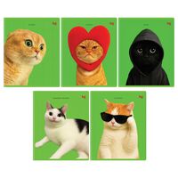 Тетрадь полуобщая в клетку "Во как!" (48 листов)