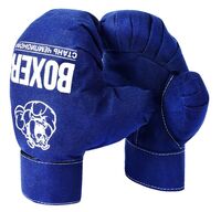 Игровой набор "Боксерский набор №7" (лапа и перчатки)