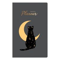 Планер "Black cat"