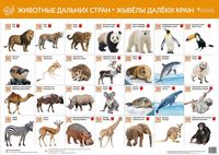 Животные дальних стран. Жывёлы далёкіх стран