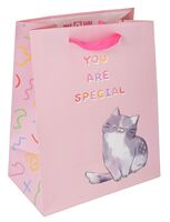 Пакет бумажный подарочный "You are special" (23х18х10 см)