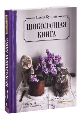 Купить Книгу Новый Год С Акцентом